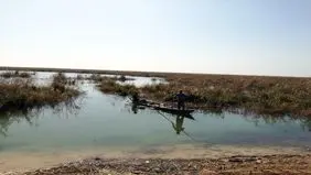 نصف تالاب هورالعظیم آبگیری نشد