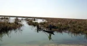نصف تالاب هورالعظیم آبگیری نشد