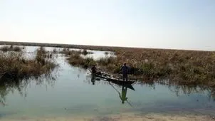 نصف تالاب هورالعظیم آبگیری نشد