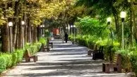 شورای شهر جلوی ساخت‌و‌ساز شهرداری و قطع درختان پارک لاله را گرفت؟
