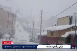 تصاویری از بارش برف در نقاط مختلف استان تهران