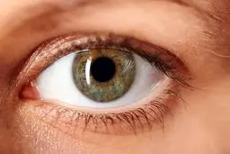 بررسی تاثیر نمایشگرها بر سلامت چشم‌ها