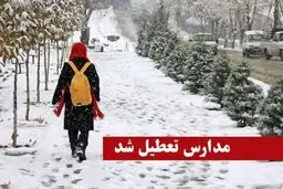 سرما مدارس اردبیل را تعطیل کرد