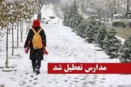 سرما مدارس اردبیل را تعطیل کرد