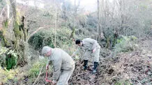زیر فشار شبکه زمین‎‌خواران