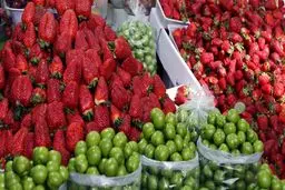 قیمت گوجه سبز نوبرانه، چغاله بادام و توت فرنگی در میادین تره‌بار چند؟!
