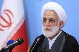محسنی‌اژه‌ای: میان قوای سه‌گانه همدلی وجود دارد

