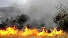 آتش در  مراتع و جنگل‌های خان زنیان زاگرس  زبانه می‌کشد 