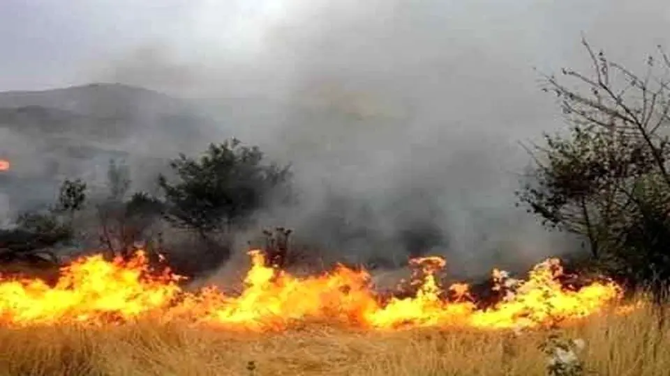 مهار حریق جنگل ابر شاهرود؛ نیروها در محل مستقر هستند