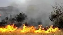مهار حریق جنگل ابر شاهرود؛ نیروها در محل مستقر هستند
