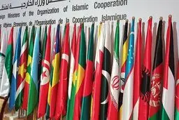 OIC plans emergency meeting over Qur'an desecration in Sweden