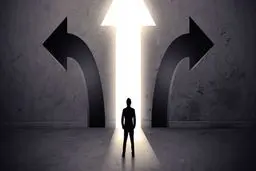 چگونه خردمندانه تصمیم بگیریم؟

