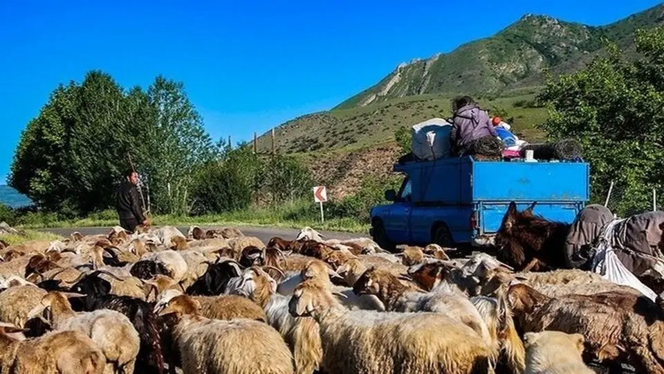آزاد راه تهران – شمال و جاده چالوس مسدود شد