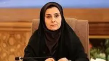 فرشاد ابراهیم‌پور، موافق: خانم صادق فقط سه سال دبیر شورای شهرسازی بوده است/ آیا رواست تمام مشکلات زمین و مسکن را گردن ایشان بیندازید؟/ ویدیو