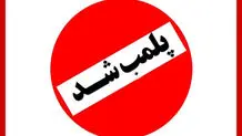 سلامی: شهید رئیسی معیار یک رئیس‌جمهوری کامل بود