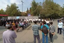 بازگشت روزهای خوب دانشگاه
