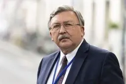 E3, US not ready to decide to return to JCPOA, Ulyanov says