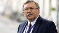 E3, US not ready to decide to return to JCPOA, Ulyanov says