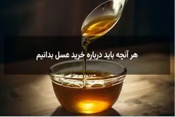 خرید عسل طبیعی از هاچ لند