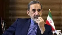 ولایتی در دیدار با نماینده حماس: رهبری در مسئله فلسطین بسیار جدی هستند/ شما هم با تمام توان پیش بروید

