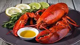 گلایه روزنامه اصولگرا از عرضه خرچنگ و صدف در برخی رستوران‌ها / لابسترهای درست یک میلیون و ۶۰۰ هزار تومان