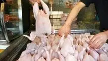 توزیع روزانه ۱۵۰۰ تن گوشت مرغ در تهران برای تنظیم بازار