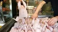 توزیع روزانه ۱۵۰۰ تن گوشت مرغ در تهران برای تنظیم بازار