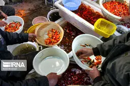 فروشندگان به فکر فروش مار و لاک‌پشت نباشند

