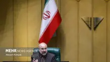 Iran parl. speaker meets APA sec.-gen. in Turkey
