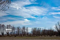 پیش‌بینی هوای آذربایجان‌غربی و ارومیه؛ دوشنبه ۲۹ بهمن
