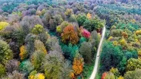 میراث طبیعی هیرکانی در معرض تهدید