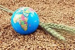 حق بر دسترسی به غذای سالم؛ حق مردم، تکلیف دولت
