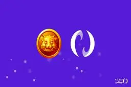 پنج گام مهم برای استقبال از همستر در نوبیتکس