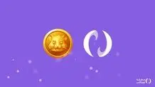 پنج گام مهم برای استقبال از همستر در نوبیتکس