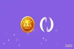 پنج گام مهم برای استقبال از همستر در نوبیتکس