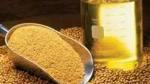 قیمت ارزی انواع غلات و دانه های روغنی اعلام شد+ جدول

