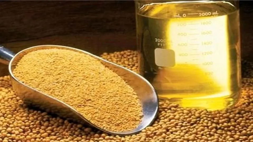 قیمت ارزی انواع غلات و دانه های روغنی اعلام شد+ جدول