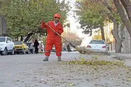 عضو شورای شهر: کارگران از طریق پیمانکاران با شهرداری ارتباط دارند