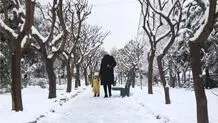 پیش‌بینی هوای مازندران و ساری؛ جمعه ۲۶ بهمن