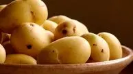 ویتامین C و B و کاهش کلسترول با این گیاه فوق‌العاده!