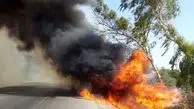 چهار کیلومتر درخت در خوزستان سوخت