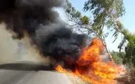 چهار کیلومتر درخت در خوزستان سوخت
