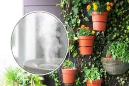 انتخاب رطوبت‌ساز ارزان برای استفاده در گلخانه کوچک