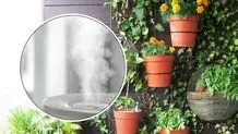 انتخاب رطوبت‌ساز ارزان برای استفاده در گلخانه کوچک