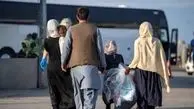 پایان مهلت اقامت غیرقانونی؛ هشدار جدی به اتباع افغانستانی
