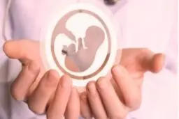 تغییری در قوانین سقط جنین رخ نداده است 