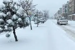 بارش برف و وزش باد در ارتفاعات کشور/ از تردد در مسیرهای مستعد وقوع بهمن خودداری کنید

