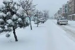 بارش برف و وزش باد در ارتفاعات کشور/ از تردد در مسیرهای مستعد وقوع بهمن خودداری کنید


