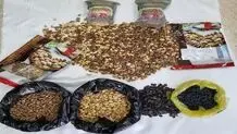 کشف بسته‌های آجیل با طعم تریاک 