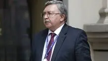  E3 joint statement about Iran 'very untimely'